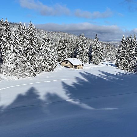 فندق La Loge De La Dolarde - Chambre Nord-Est Prémanon المظهر الخارجي الصورة